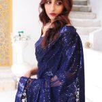 Navy blue (ChamakChallo)